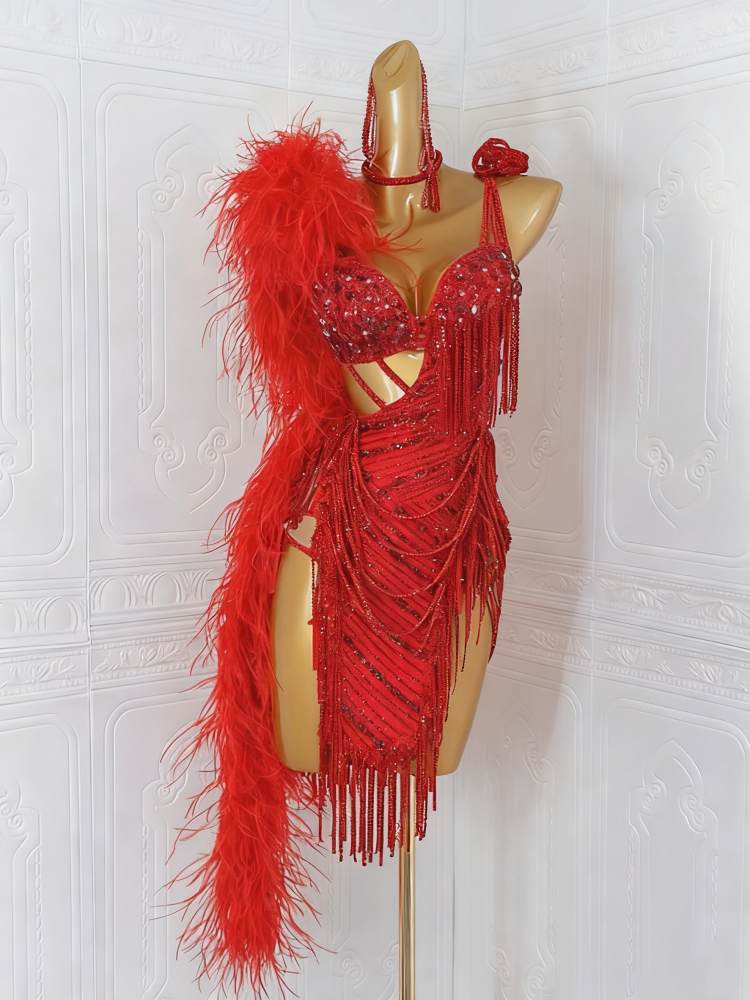 Custom Size Red Feather Competition Latin Dance Dresses for Women Girls Pink Salsa Rumba Chacha Samba Dance Costumes