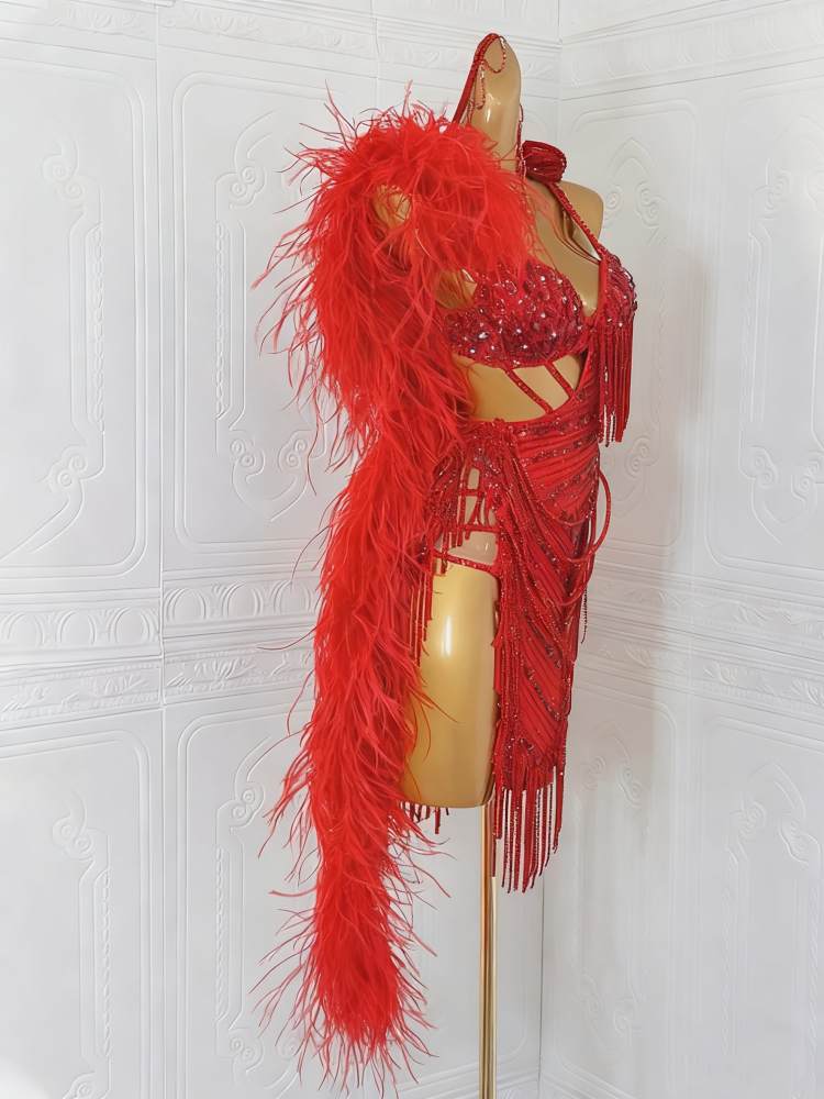 Custom Size Red Feather Competition Latin Dance Dresses for Women Girls Pink Salsa Rumba Chacha Samba Dance Costumes