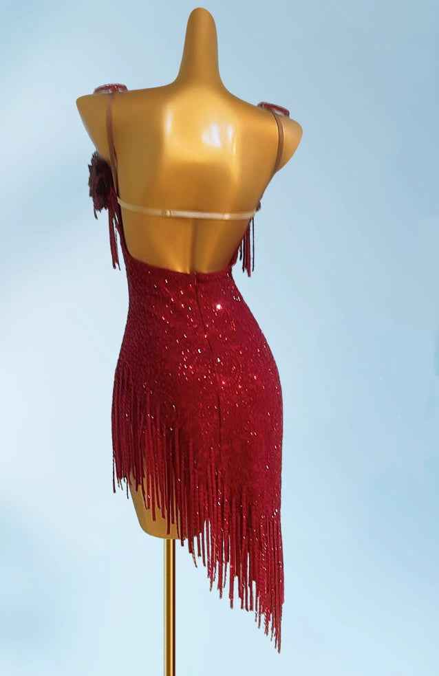 Custom Size Wine Rose Latin Dance Dresses for Women Girls Salsa Rumba Blackpool Competition Fringed Skirts