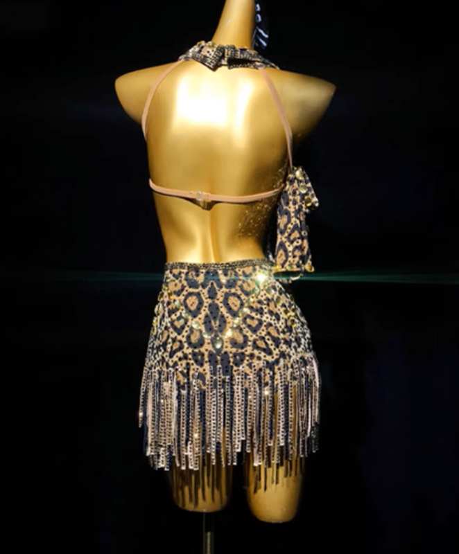 Custom Size Leopard Fringe Latin Dance Dresses for Women Girls Salsa Rumba Chacha Blackpool Dance Wear