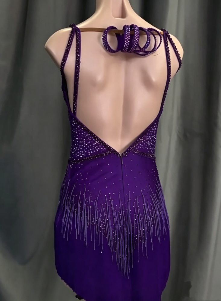 Custom Violet Latin Dance Competition Dress  3D Floral & Crystal Gown