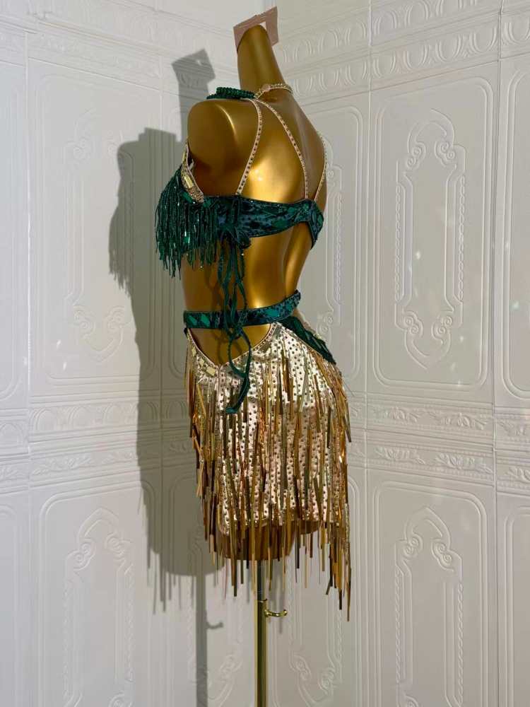 Custom Size Dark Green with Gold Fringe Competition Latin Dance Dress Bling Fringe Salsa Chacha Perform Costume