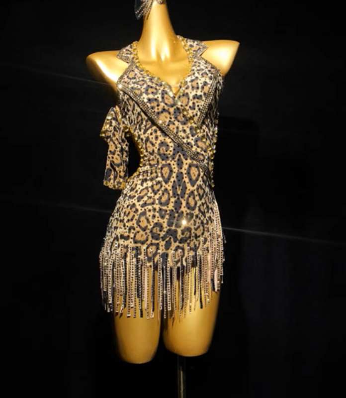 Custom Size Leopard Fringe Latin Dance Dresses for Women Girls Salsa Rumba Chacha Blackpool Dance Wear