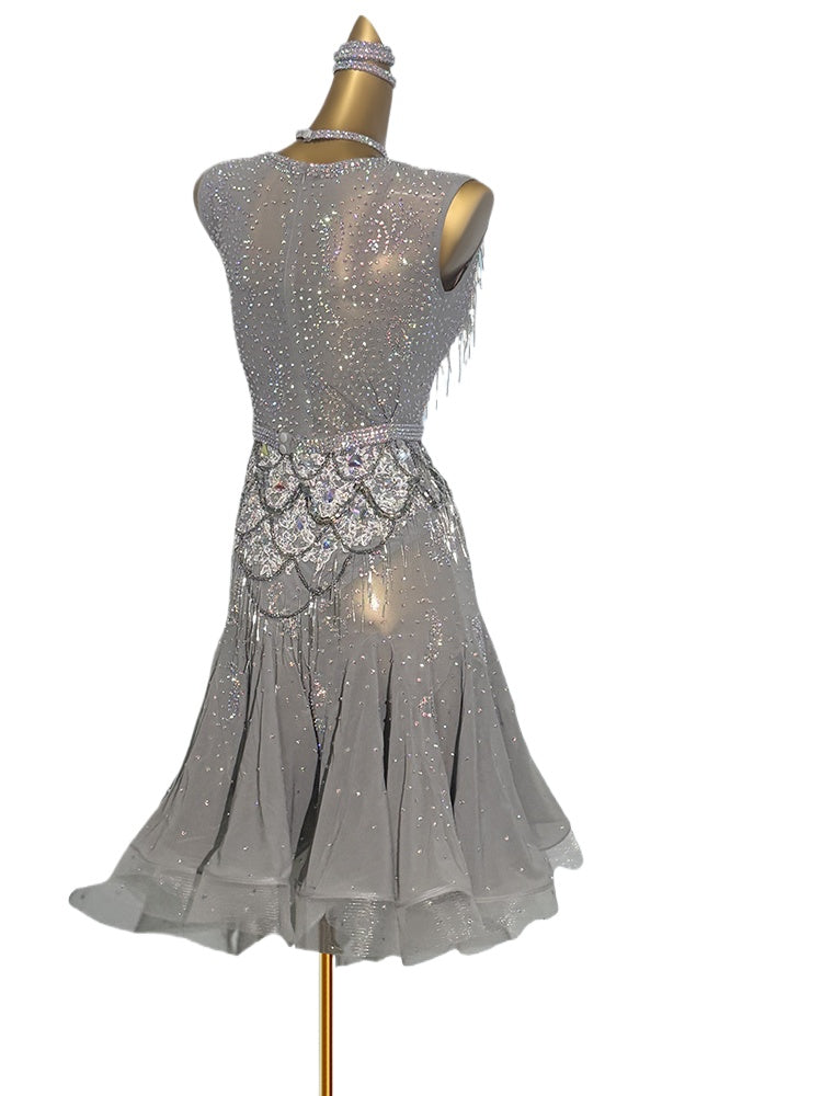Custom Size Silver Competition Latin Dance Dresses for Women Girls Salsa Rumba Blackpool Latin Dance Costumes