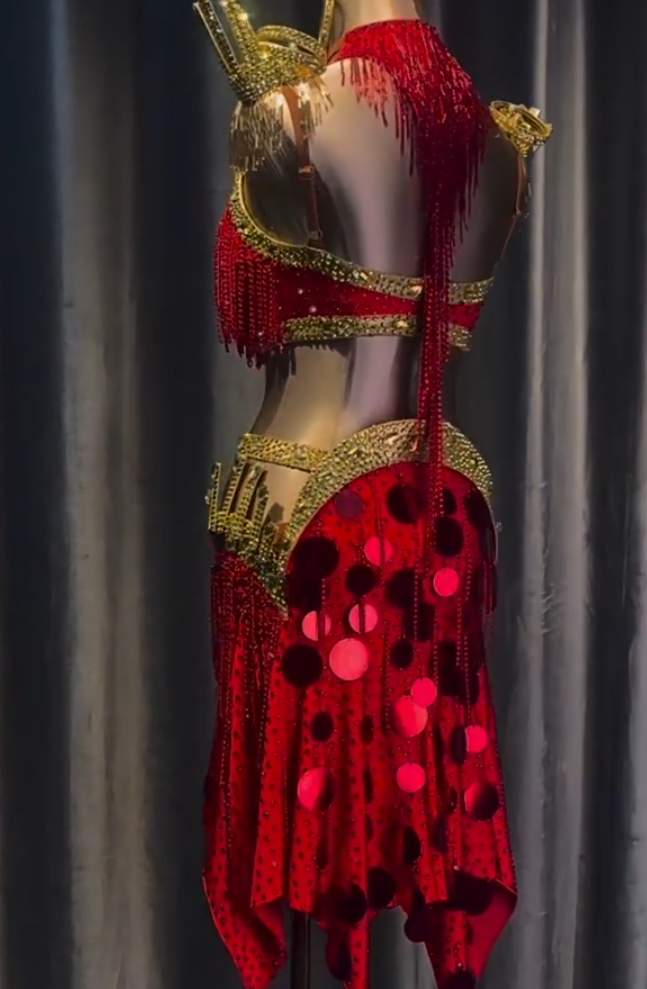 Custom Red and Gold Latin Dance Dress  Fringe Salsa Competition Gown