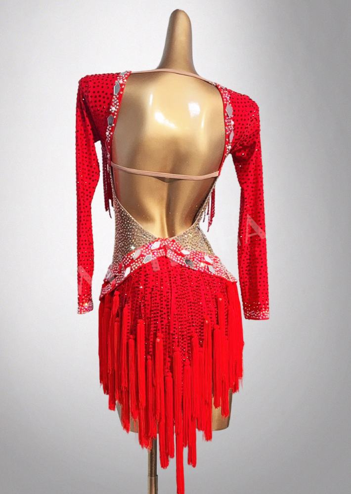red salsa dress Stunning Mirror Sequin Dance span fabric Red Salsa Sensation Fringe Two