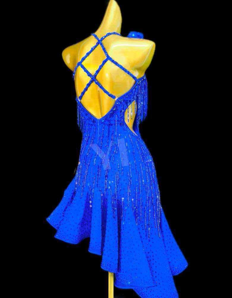 Custom Size Women's Royal Blue Latin Dance Dresses Bling Fringe Salsa Chacha Dance Costumes
