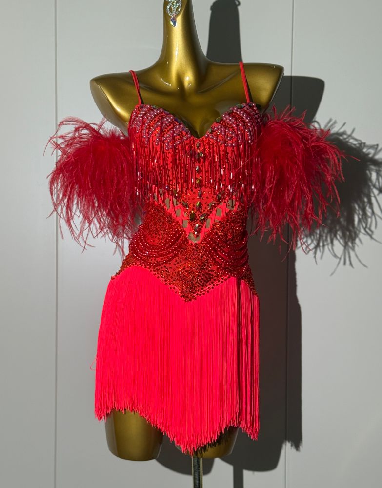 Custom Red Latin Dance Competition Dress  Feather & Fringe Salsa Gown