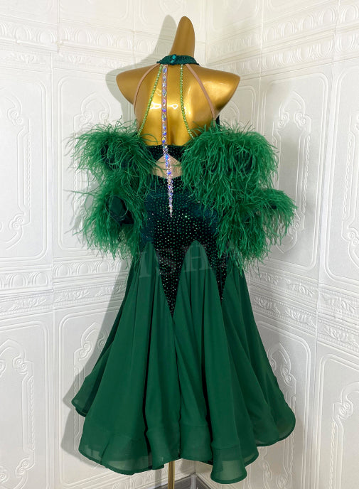 Custom Size Dark Green Feather Ballroom Dance Dresses for Women Waltz Tango Smooth Dance Long Gown