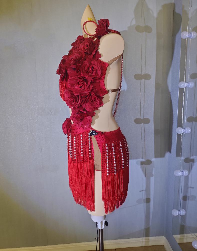 Custom Size Red Competition Latin Dance Rose Flowers Salsa Rumba Chacha Performance Dance Costumes