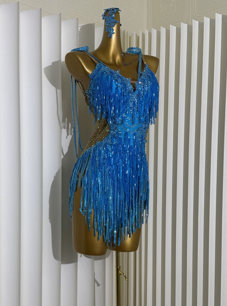Custom Size Blue Fringe Competition Latin Dance Dress Salsa Chacha Bling Dance Costumes