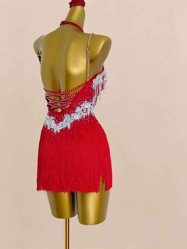 Custom Size Latin Dance Dress Hot Pink Blue Fringed Salsa Chacha Performance Clothing