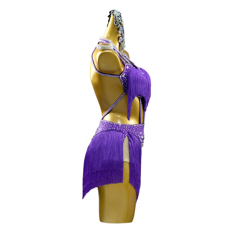 Violet Purple Fringe Latin Dance Dresses for Women Girls Latin Salsa Rumba Chacha Performance Skirts