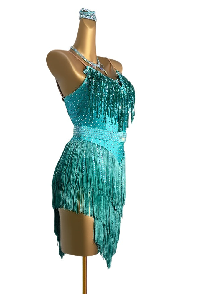 Custom Size Blue Latin Dance Dresses for Women Girls Fringe Bling Salsa Rumba Chacha Latin Dance Costumes