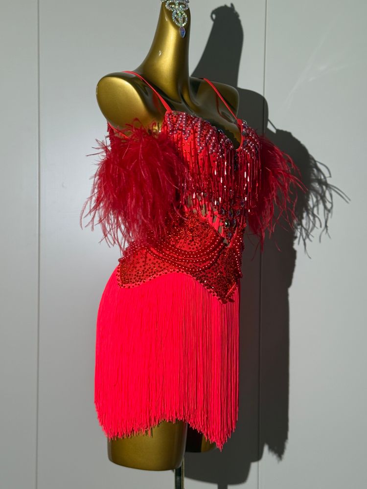 Custom Red Latin Dance Competition Dress  Feather & Fringe Salsa Gown