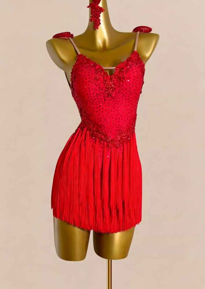 Custom Size Fuchsia Fringe Latin Dance Dress Salsa Rumba Chacha Performance Costumes
