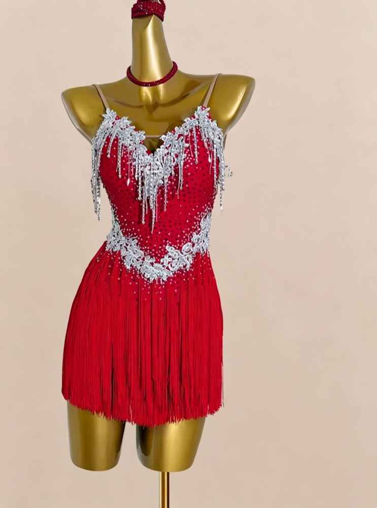 Custom Size Latin Dance Dress Hot Pink Blue Fringed Salsa Chacha Performance Clothing