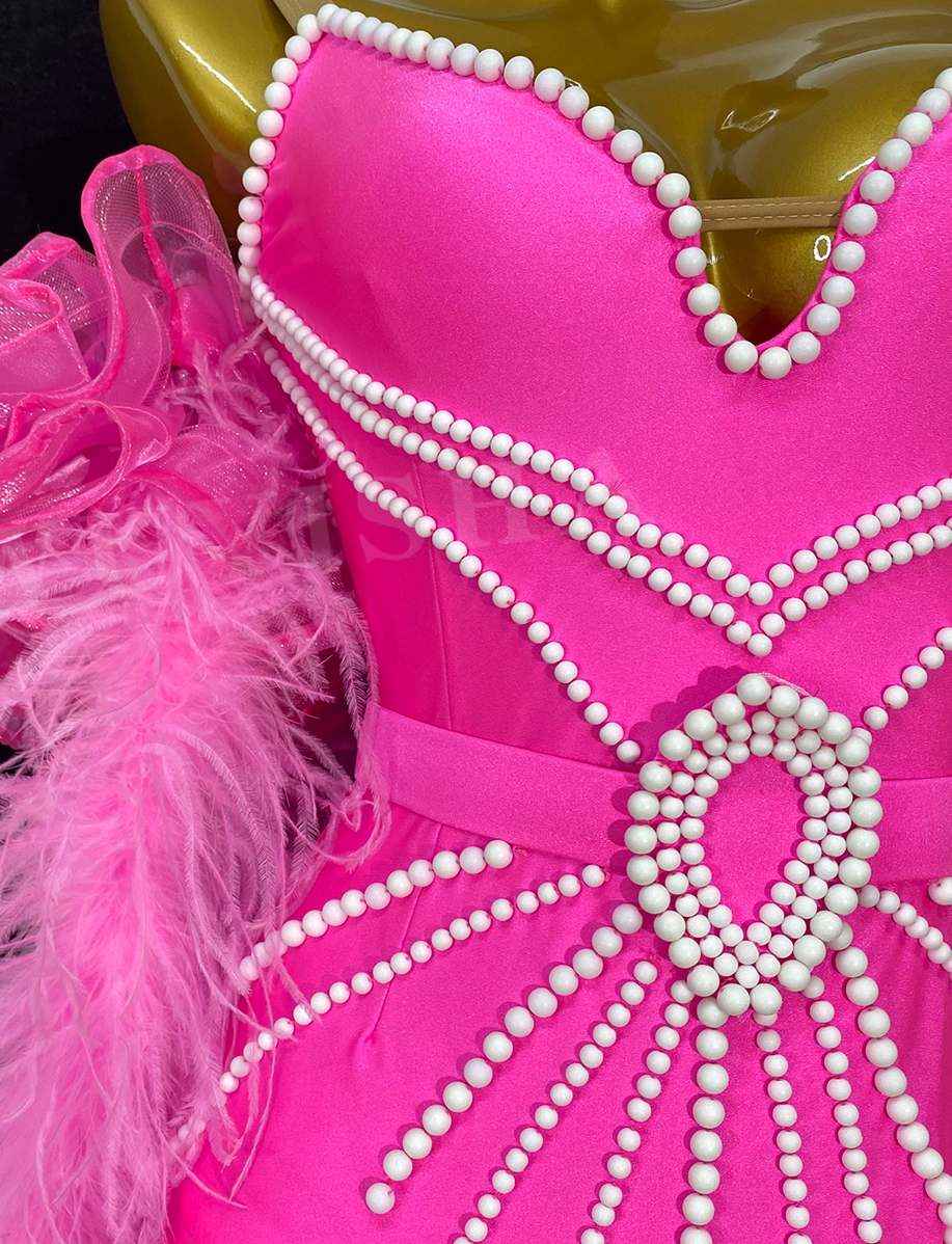 Custom Size Hot Pink Feather Competition Ballroom Dance Dresses Waltz Tango Rhythm Smooth Dance Long Gown