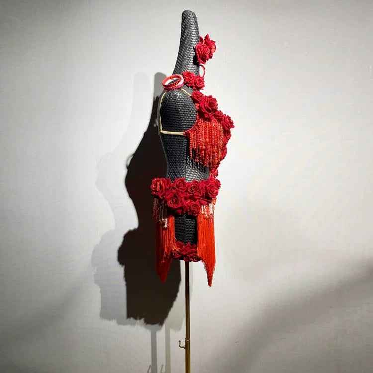 Custom Size Red Rose Flower Bling Fringe Latin Dance Dress Blackpool Competition Dance Gown for Women