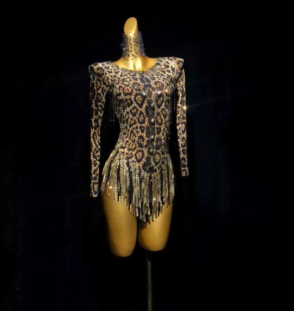 Custom Leopard Competition Latin Dance Dress Bling Rhinestones Blackpool Ball Dance Gown