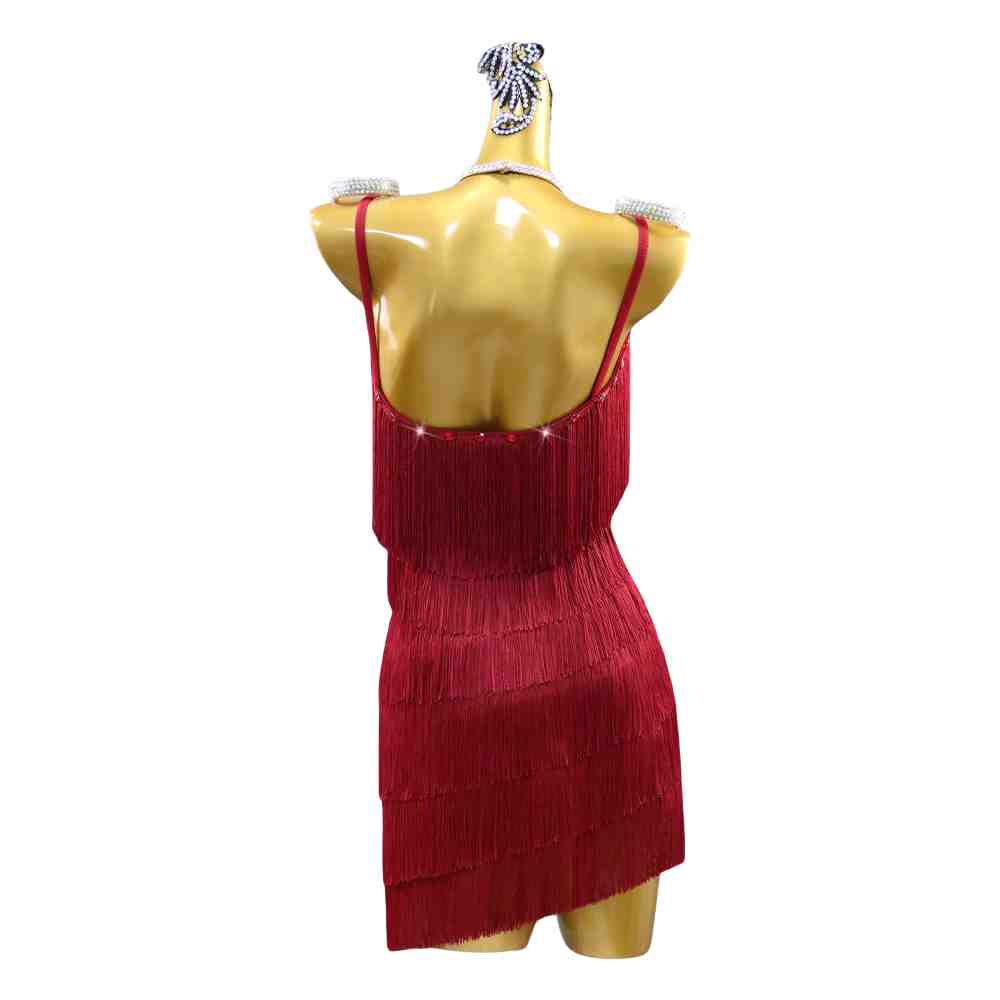 Professional Burgundy Fringe Latin Dance Dress for Women Girls Rhinestones Salsa Chacha Handmade Dancing Costumes Blackpool Samba Art Exam - Moderndancedress.com