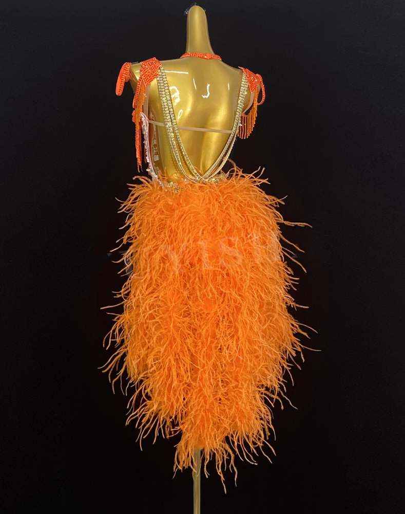 Custom Size Orange Feather Competiiton Latin Dance Dresses for Women Salsa Rumba Chacha Blackpool Tuxedo Latin Dance Costumes
