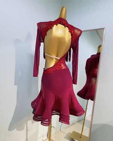Custom Size Wine Fringe Rhinestones Latin Dance Dresses For Women Girls Salsa Rumba Chacha Performance Costumes Latin Dance Dresses