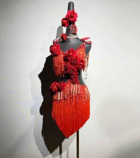Custom Size Red Rose Flower Bling Fringe Latin Dance Dress Blackpool Competition Dance Gown for Women