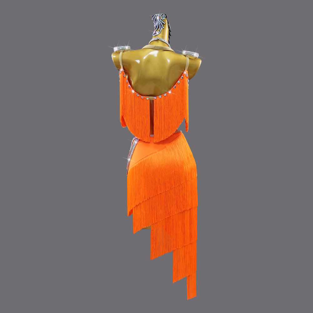 Orange Fringe Competition Latin Dance Dresses for Women Girls Salsa Rumba Chacha Professional Dancing Irregular Skirts Dance Wear
