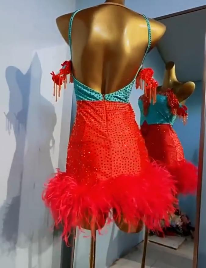 Custom Size Red Blue Competition Latin Dance Dresses Feather Crystal Bing Salsa Rumba Chacha Dancing Costumes - Moderndancedress.com