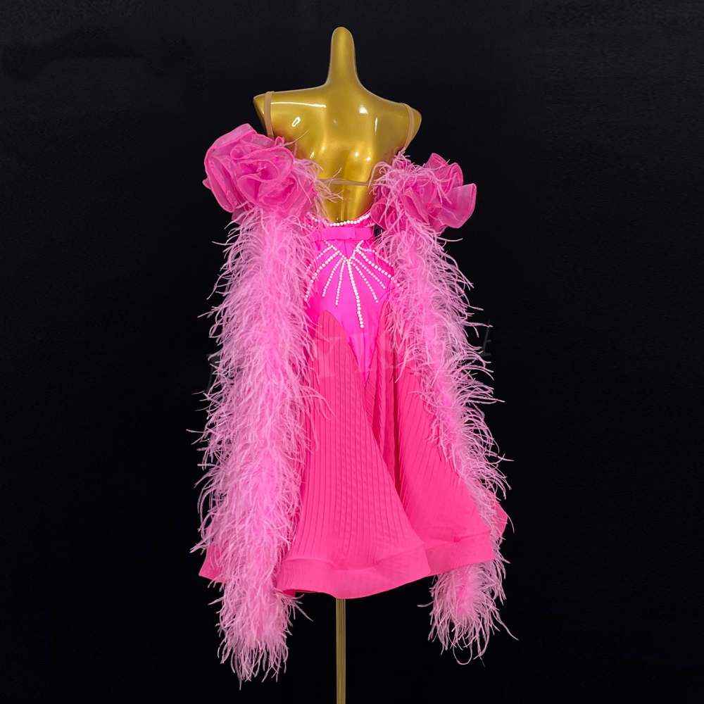 Custom Size Hot Pink Feather Competition Ballroom Dance Dresses Waltz Tango Rhythm Smooth Dance Long Gown
