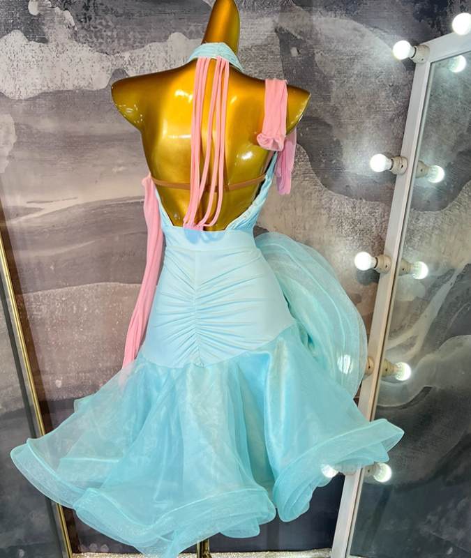 Custom Size Flowers Blue Latin Dance Dresses for Women Girls Waltz Tango Performance Costumes
