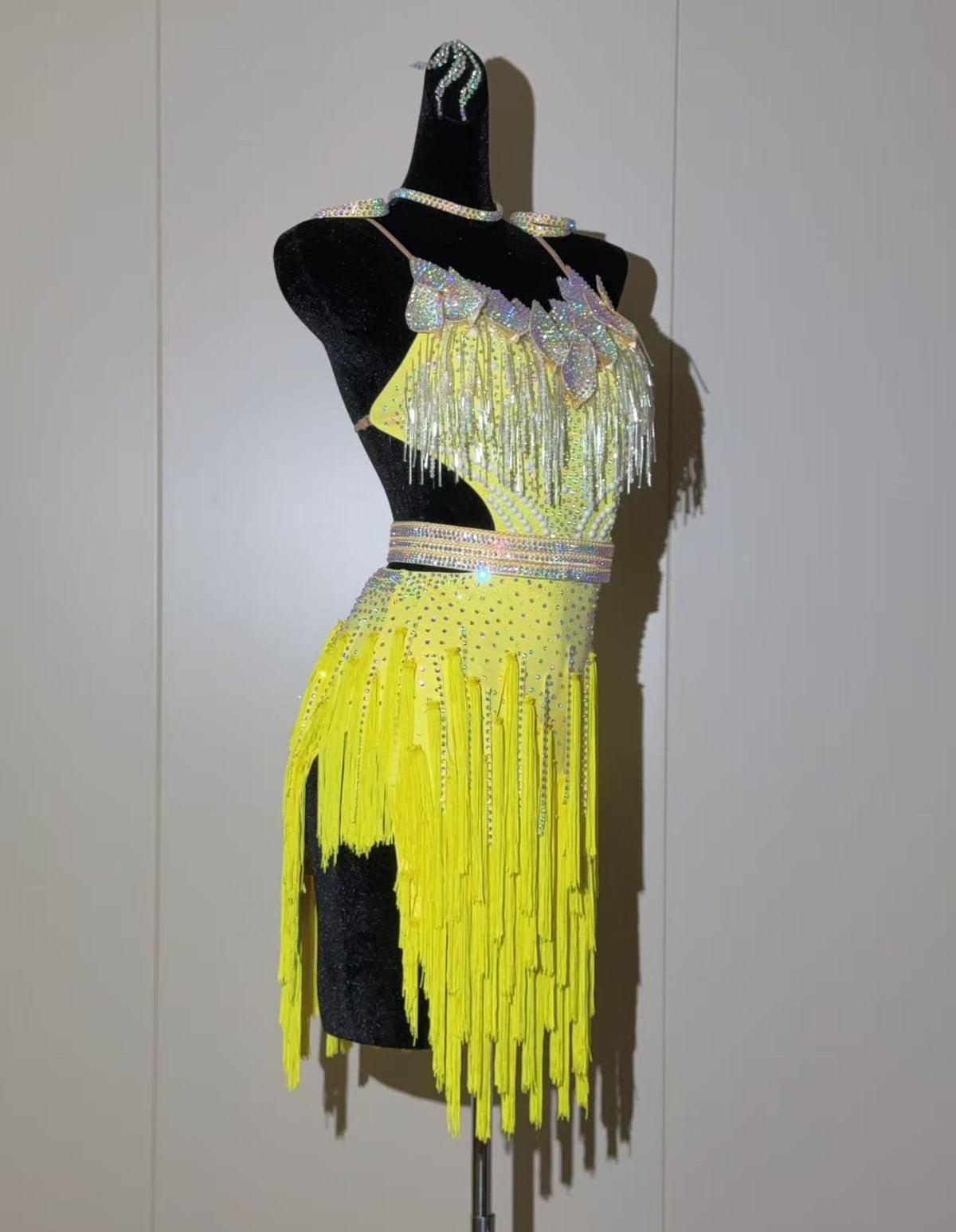 Custom Crystal Fringe Competition Latin Dance Dress