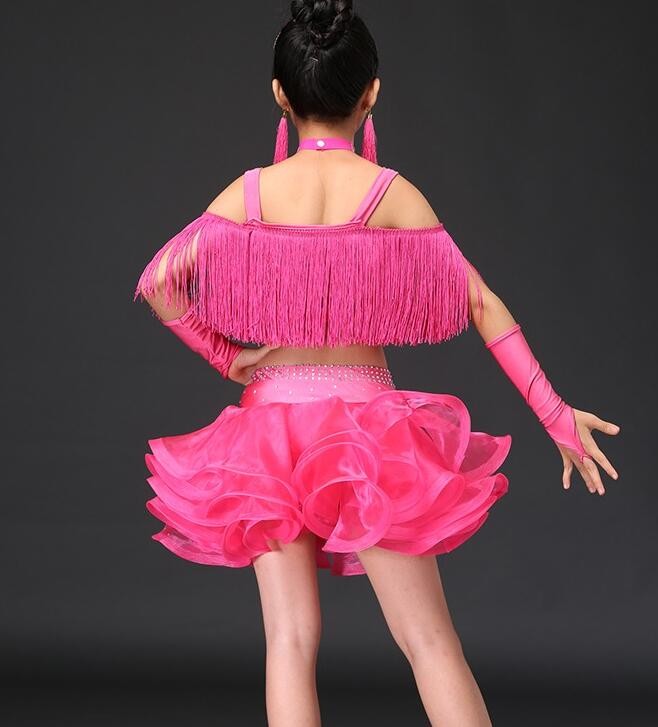 Girls competition latin dresses Pink blue purple Tassel Latin dance costumes ballroom stage performance dress birthday gift clothes