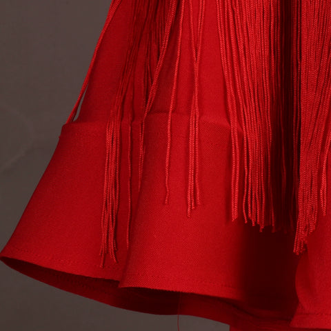 Sexy V-collar! Adult professional Latin fringe dress triple step on jitterba group Costume - Moderndancedress.com