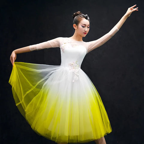 Chinese Folk Dance Costumes Opening Dance Dress classical dance costume Modern Dance Costume chorus Dress Adult - 