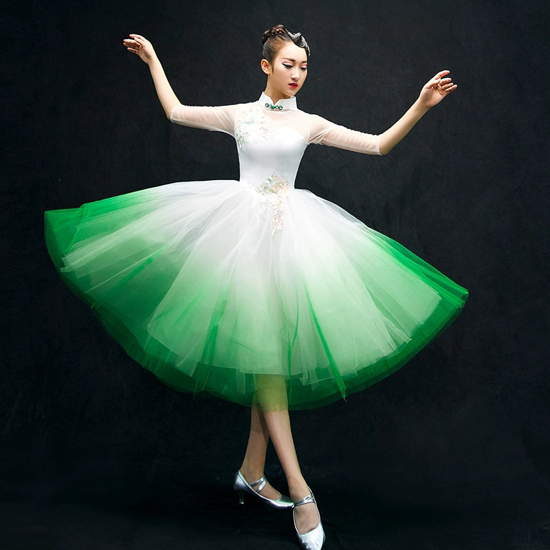 Chinese Folk Dance Costumes Classical Dance Costume opening dance dress performance Dress Adult modern dance partner long skirt