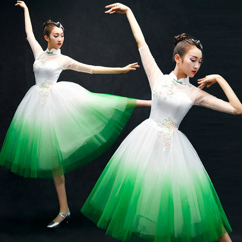 Chinese Folk Dance Costumes Classical Dance Costume opening dance dress performance Dress Adult modern dance partner long skirt - 