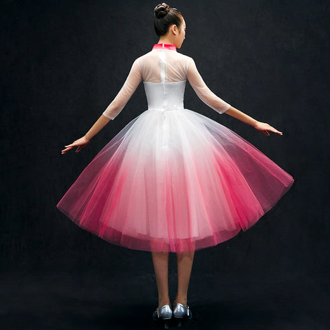 Chinese Folk Dance Costumes Opening Dance Dress chorus costume long skirt adult woman in Classical Dance Costume - Moderndancedress.com