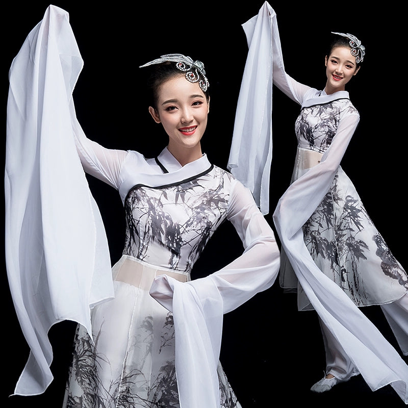 Chinese Folk Dance Costume Watersleeve Dance Costume Classical Dance Performance Costume Female Caiwei Ink and Water Modern Dance Chinese Style Adult Dance - Moderndancedress.com