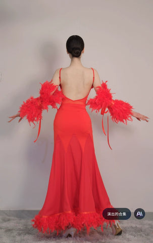 Red Feather Ballroom Dance Dresses for Women Girls Waltz Tango Foxtrot Smooth Dance Skirt National Rhythm Standard Dance Long Gown - Moderndancedress.com