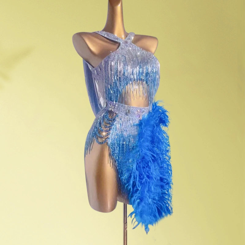 Custom Size Blue Feather Competition Latin Dance Dresses for Women Girls Blackpool Dance Wear - Moderndancedress.com
