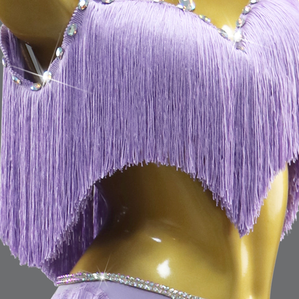 Lavender Purple Fringe Latin Dance Dresses for Women Girls Black Pool Salsa Rumba Performance Clothes Split Belly Dance Wear - Moderndancedress.com