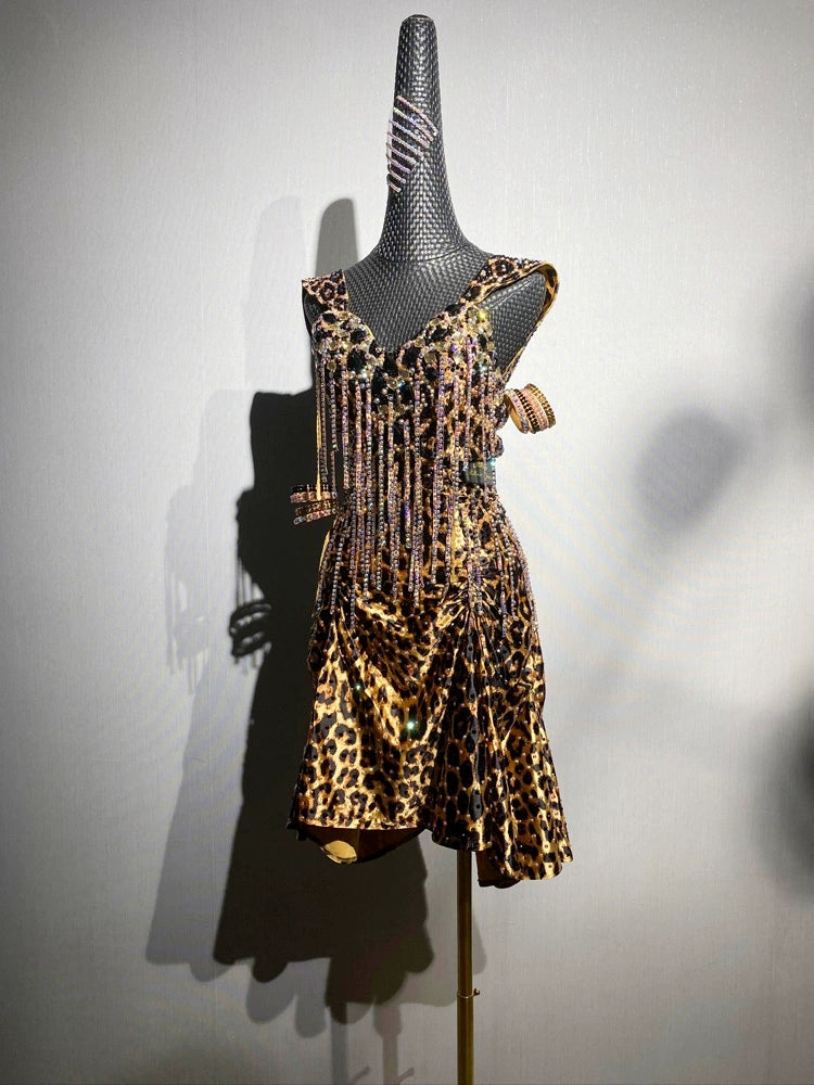 Custom Size Leopard Print Competition Latin Dance Dresses for Women Salsa Rumba Blackpool Competition Costumes