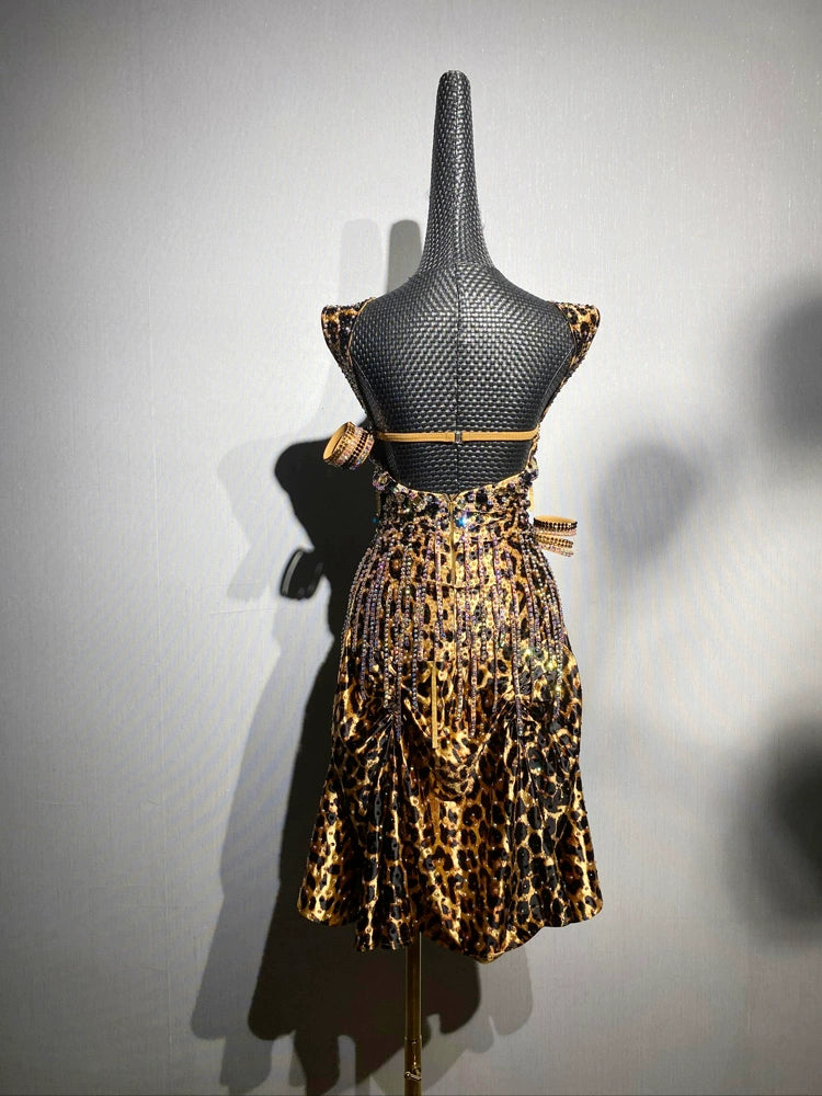 Custom Size Leopard Print Competition Latin Dance Dresses for Women Salsa Rumba Blackpool Competition Costumes