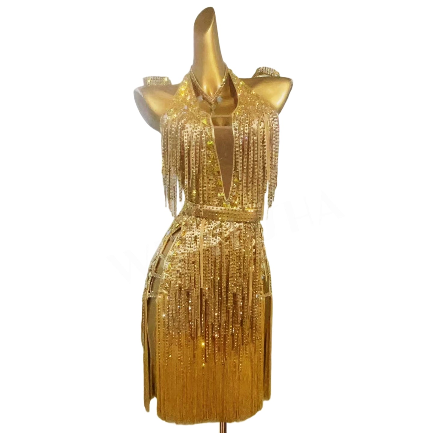 Custom Size Gold Fringe Competition Latin Dance Dresses for Women Girls Salsa Latin Chacha Latin Dance Costume