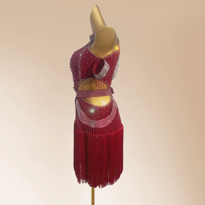 Custom Size Wine Red Bling Fringe Competition Latin Dance Dresses for Women Girls Kids Salsa Rumba Chacha Performance Art Test Dancing Outfits