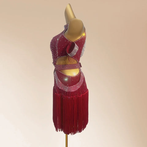 Custom Size Wine Red Bling Fringe Competition Latin Dance Dresses for Women Girls Kids Salsa Rumba Chacha Performance Art Test Dancing Outfits