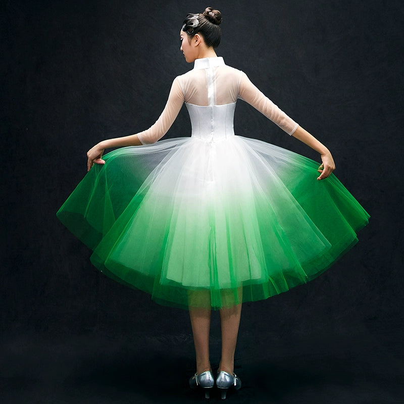 Chinese Folk Dance Costumes Classical Dance Costume opening dance dress performance Dress Adult modern dance partner long skirt