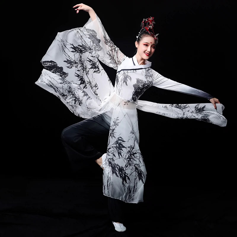 Chinese Folk Dance Costume Classical Dance Costume Female Chinese Style Sun Ke Ice Chrysanthemum Material Ancient Style, Water and Ink Fan Dance Costume Adult - Moderndancedress.com